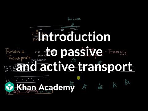 Introduction to passive and active transport | High school biology | Khan Academy