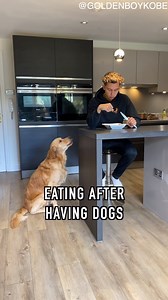267K views · 638 shares | Life Before & After Having A Golden Retriever | The Golden Kobe Family | Facebook