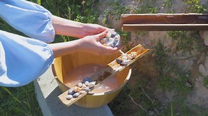 Craft All-Natural Lip Balm and Soap While Relaxing in Nature’s Embrace | Red Koala