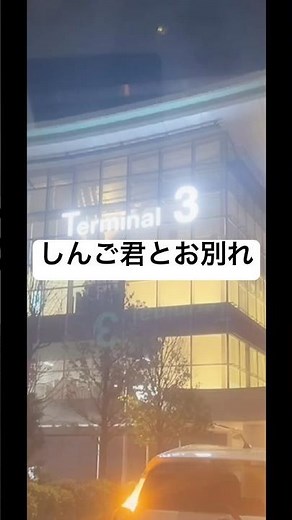 しんご君とお別れ #楽しんご #お別れ #羽田空港第3ターミナル #トルコ植毛 #トルコ