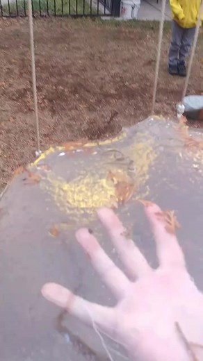 Gonna use this one as a plate. #ice #ipromiseitdoesntbreak