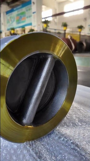 JUDU WCB Metal To Meta Dual Plate Check Valve Showcase