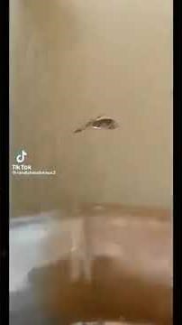 Team Fishermen making a difference