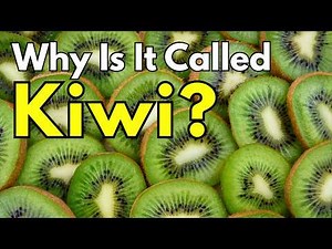 How the Kiwi Fruit Got Its Name