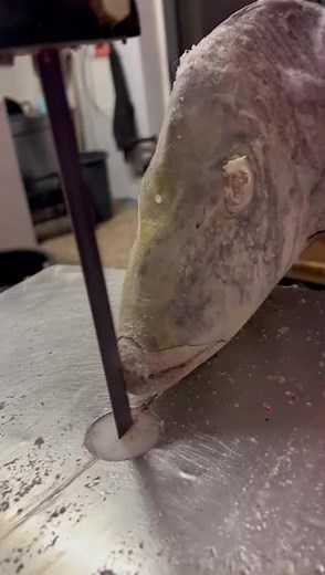 How to Properly Prepare a Fresh Fish for Cooking