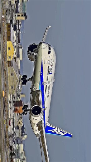 #大阪国際空港 #飛行機 #nikon #伊丹空港 #伊丹スカイパーク