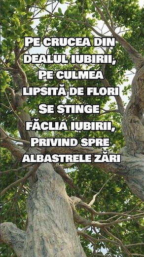 Pe Crucea din dealul iubirii #cantaricrestine