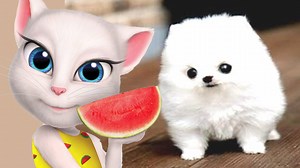 Cute puppies, I alway love you! See more at here: https://goo.gl/QNge9C | ABC SONG for KIDS