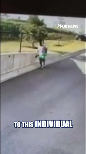WATCH: Alleged fraudster ESCAPES after being charged #shorts #us #news #foxnews