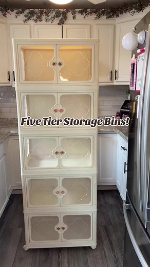 Five Tier Plastic Storage Bins for Home Organization