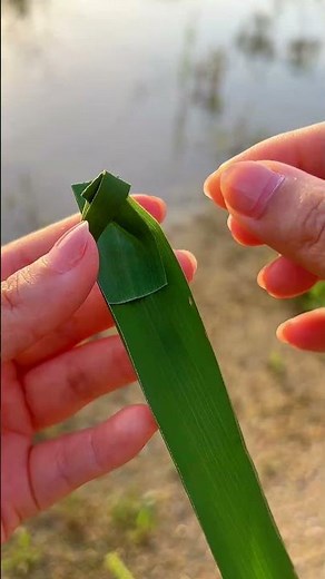 Simple Crafts | Fold a Floating Boat Using Leaves!