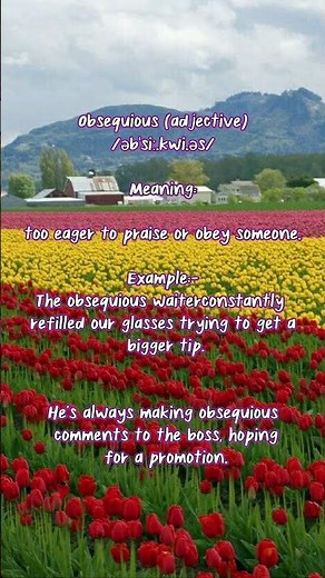 Word Of The Day: "Obsequious" | Must-Know Word to Evaluate Your Speaking and Writing Skills.#english