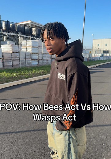 Bees vs. Wasps: Understanding Their Behavior Differences