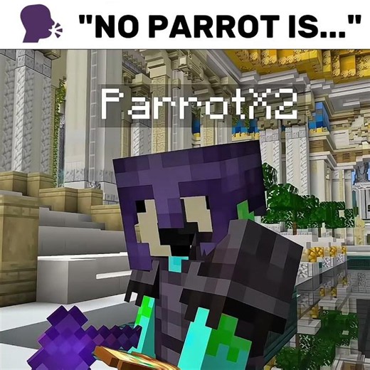 "A Combat Master!🔥" | FlameFrags Edit | #flamefrags #unstablesmp #wemmbu #parrot #unstablesmpedit