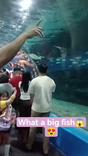 What a such beautiful creatures inside the big aquarium ToGodBeTheGlory#Pleasesubscribe&LikeThankYou