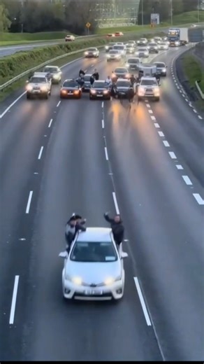 Ireland 🇮🇪 Sulky racing on the N7, Dublin