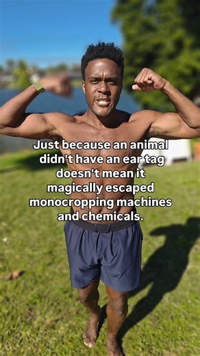 boars, coyotes, foxes, antelope, deer, rabbits, snakes are directly unalived from monocropping.