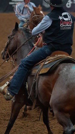 7.9K views · 91 reactions | NO PURRROBLEM // Hip #25 // 2018 Gelding // Bet Hesa Cat x No Problems Mate x Smart Mate // Consigned by Billy Lamb | Levelland Horse Sales- Levelland, TX | Facebook