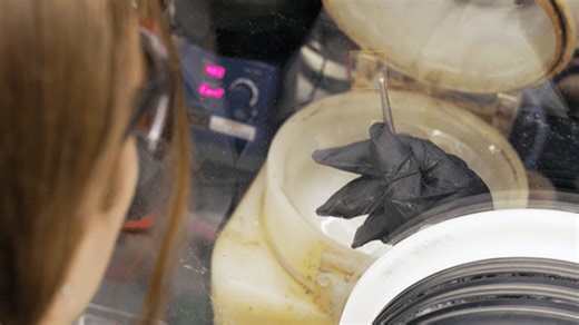 Scientists create silicon-free solar cells to reduce costs, offer longer lifespan