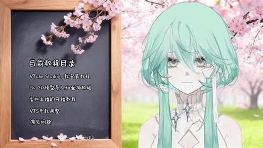 【VTS教程】合集介绍、教程目录 #vtuber #虚拟主播 #VTS #教程分享