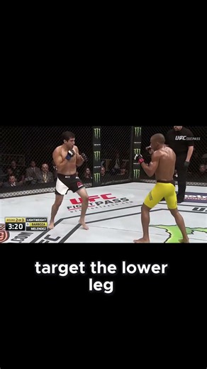 The Agonizing Strategy of Leg Destruction#MMA #UFC #EdsonBarboza #LegKicks #muaythai #Knockout