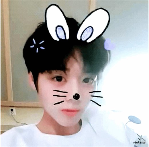 i’m genuinely frickin tweaking , , wahhhh *age regresses🥹* -🏷️: #PARKJIHOON #tiredvent #unmotivational #trendingvideo #relatable blenheim i…dunno..