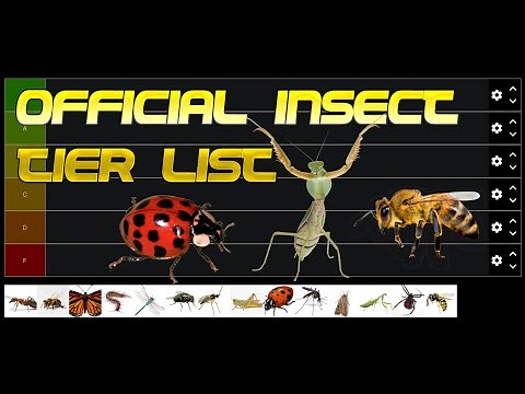 Official Insects Tier List