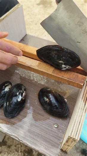 Self-made tools for easily opening oysters