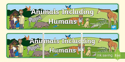 Animals Including Humans Display Banner