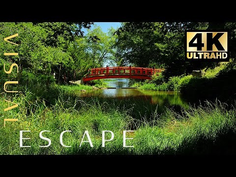 Zen Garden in 4K - Japanese Garden with Relaxing Music and Nature Sounds