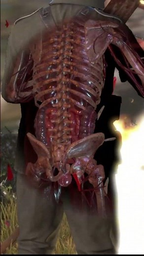 Sniper Elite 4: San Celini Island – Tunnel Reel | Stealth & Sniper Action Begins