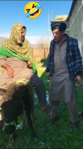 be Plus vines funny 🤣