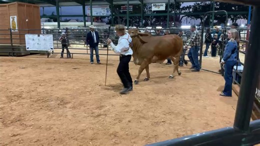 7.3K views · 105 reactions | Manatee County Fair on Reels | Facebook