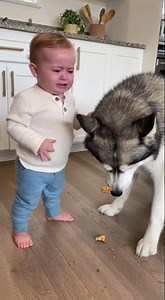 Cute Kids & Pets Moments That Melt Your Heart ❤️
