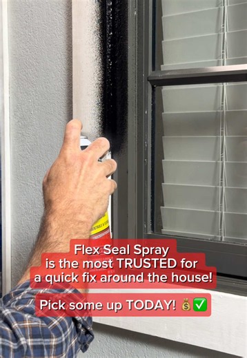 Quick Fix for Cracks and Leaks with Flex Seal Spray