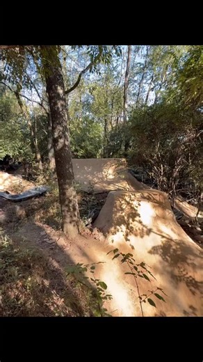 79 reactions | Oh, Doyle rules! @chris_doyle22 big spinnin’ last weekend. @bblake_51 #greystokebmx #bmxlifer #bmx | Greystoke BMX | Facebook