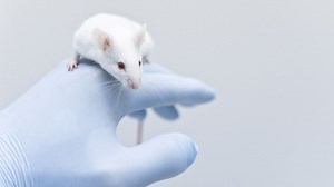 Researchers fast-track coronavirus vaccine by skipping key animal testing first