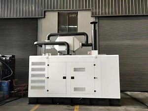 [Hot Item] Man Weichai Engine Methane Biogas Natural Gas LPG Power Generator