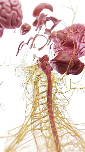 71. Pediatrics: When to Worry 🧸🩺 Pediatrics: When to Worry 🧸🩺 — let’s dive deeper. In medicine, Think about first principles: what matters most, what you can measure, and what you can change today. Use simple checkpoints, write down one action, and commit to a tiny habit that compounds. Add one tool, remove one distraction, and ask one better question. Track progress in notes, reflect weekly, and celebrate small wins. Remember: clarity beats intensity, consistency beats novelty. Sprinkle it 