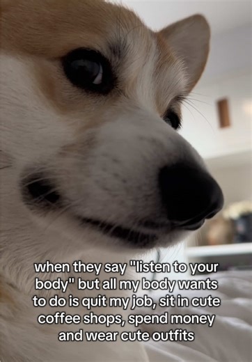 Understanding Corgis: Their Beauty and Whimsy