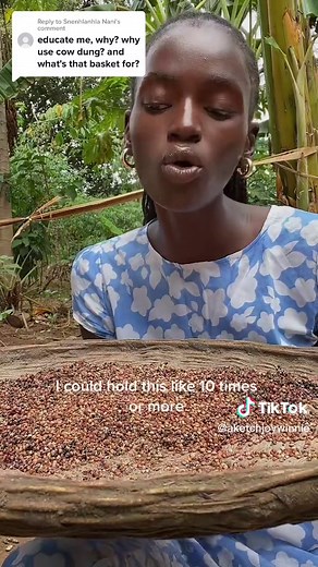 Benefits of Using Cow Dung for Winnowing in Africa