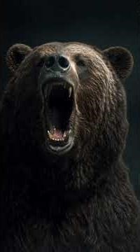 These Animals Kill in Seconds || USA Wildlife Warning #shorts #wildlife #america #deadly #animals