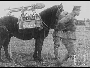 【全篇】『平射歩兵演習』1923年｜「フィルムは記録する」より ‘Film IS a Document: NFAJ Historic Film Portal