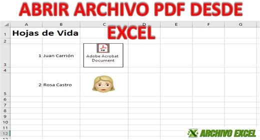 Cómo insertar link para abrir archivo PDF en una hoja de excel | Archivo Excel