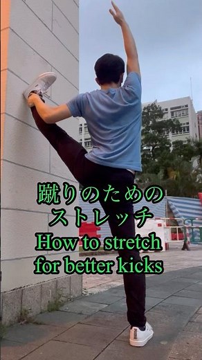 蹴りを改善するためのストレッチ How to stretch for better kicks #開脚 #柔軟性 #武術 #splitstraining #highkick #キック #ハイキック