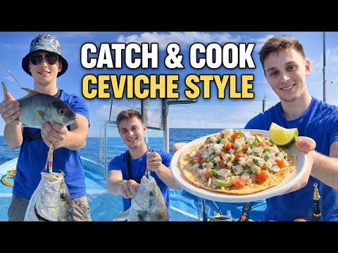 CATCH and COOK in Mexico! 🇲🇽 Amberjack + Triggerfish and fresh CEVICHE