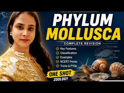 Mollusca Explained Easily with NCERT READINGABD NOTES| NEET Biology