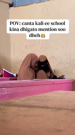 Maida Model School: A Unique Learning Experience