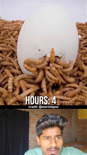 1000 Worms VS eggs eating challange #shorts