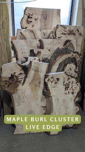 Beautiful Maple Burl Cluster live edge! Approximately 1-3/4" thick, varying widths and lengths. A few cut with straight edge to use as a shelf. Burlington Ontario 🇨🇦 Open to the public! We hope to see you soon! #woodworking #burlingtonlumbersupplier #exoticwoodsinc #morethanexoticwoods #familyownedbusiness #celebrating46years #mapleburlliveedge #burlclusterliveedge #exoticwoodsburlington #liveedgetablrle #liveedgeshelf | Exotic Woods Inc.